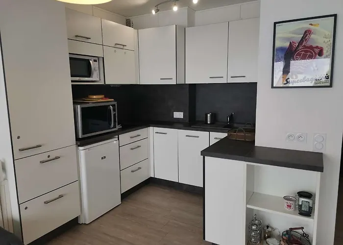 4 Pers Avec Balcon, Centre Station, Proche Pistes, Ascenseur - Fr-1-404-95 アパート ラ・モンジー