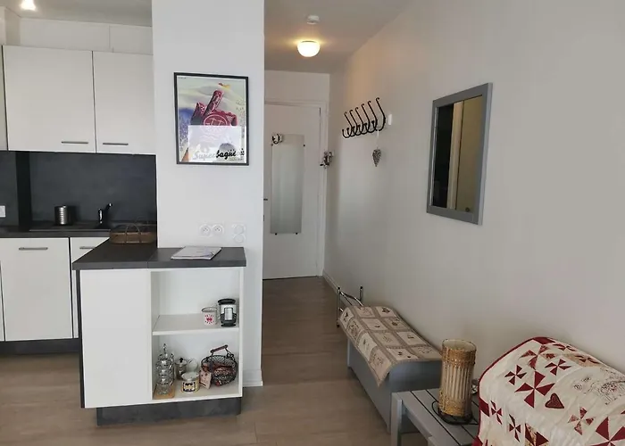 4 Pers Avec Balcon, Centre Station, Proche Pistes, Ascenseur - Fr-1-404-95 アパート *